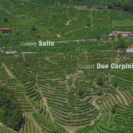Due Carpini * 瓦尔多比亚德内